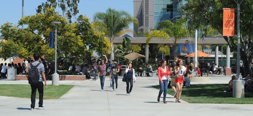 Students in the campus quad