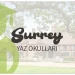Surrey Yaz Okulları