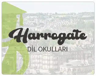 İngiltere Dil Okulları - En İyi Dil Eğitimi